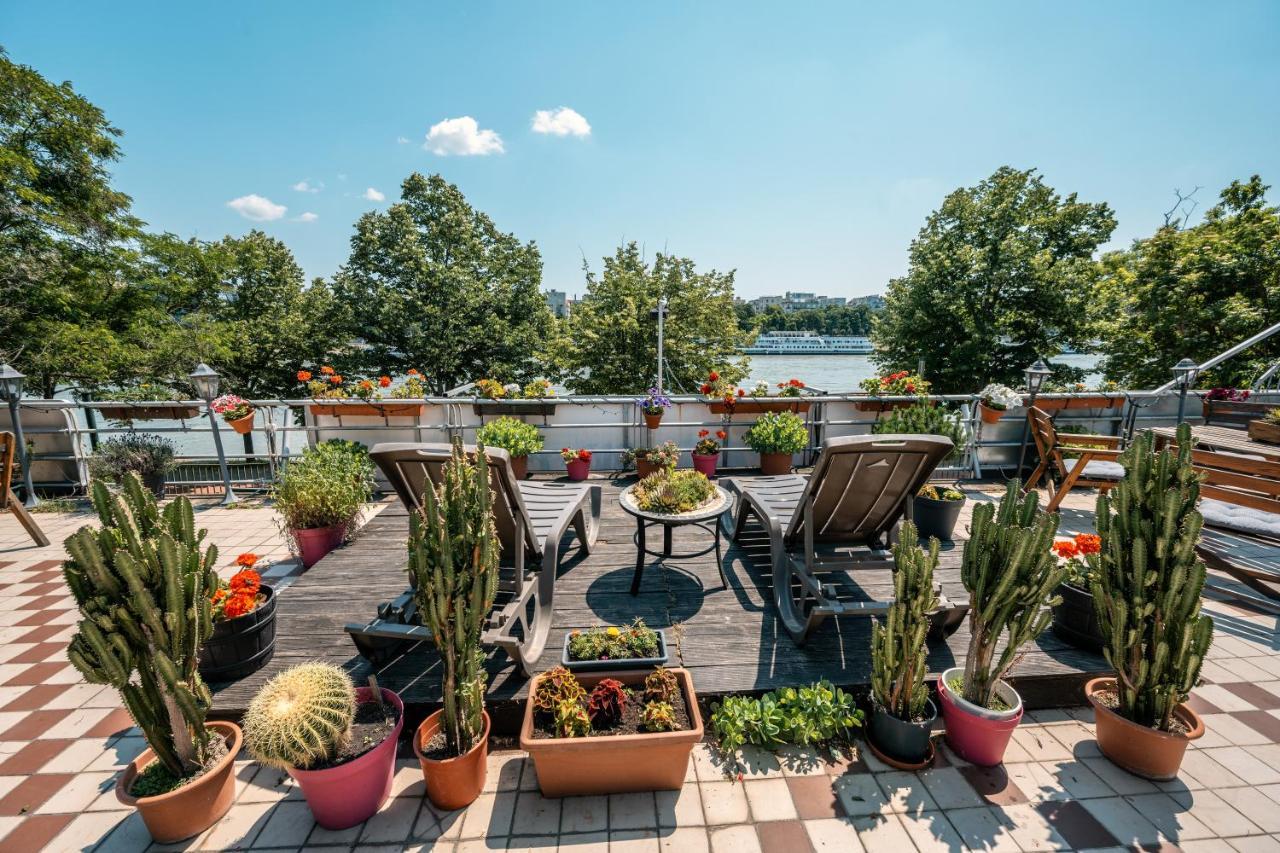 بيت شباب آيلاند بودابست المظهر الخارجي الصورة Rooftop garden